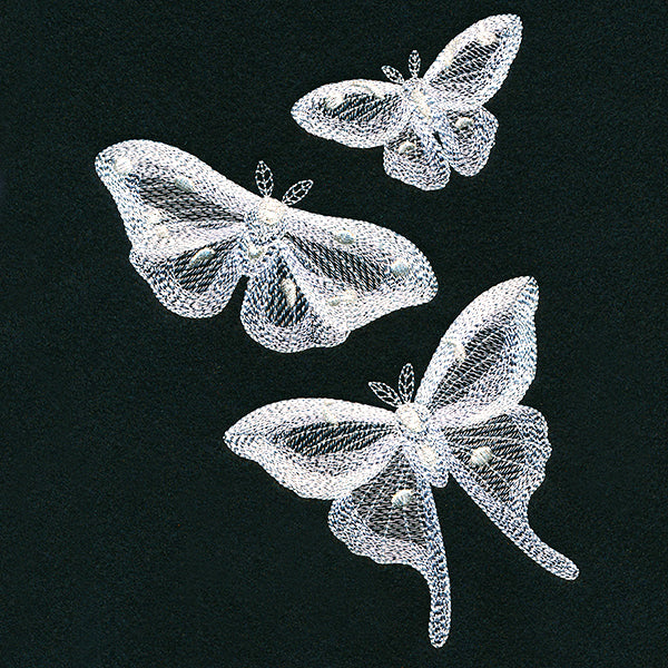 Fluttering Moth Trio