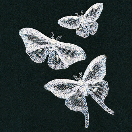 Fluttering Moth Trio