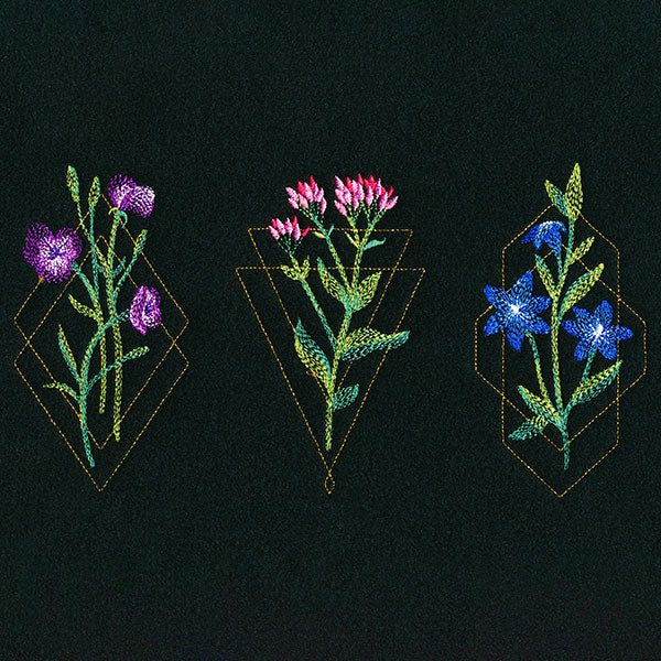 Avant-Garden Trio