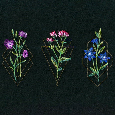 Avant-Garden Trio