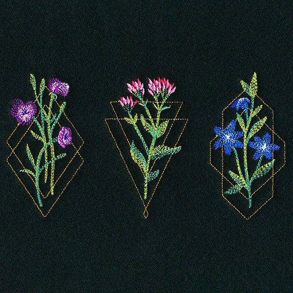 Avant-Garden Trio