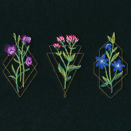 Avant-Garden Trio