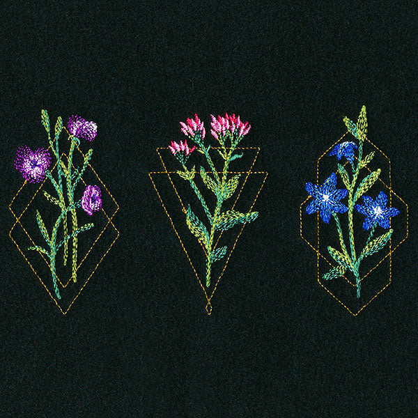 Avant-Garden Trio