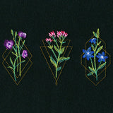 Avant-Garden Trio