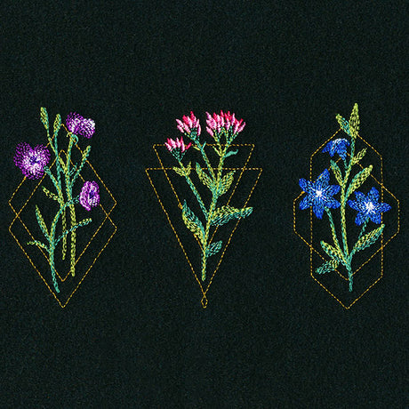 Avant-Garden Trio