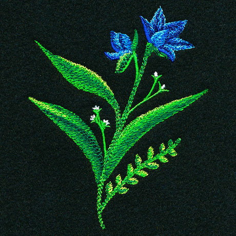 Mesmerizing Wildflowers - Short