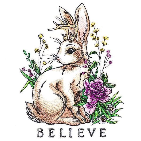 Wondrous Jackalope
