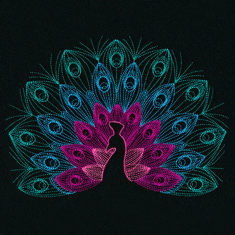 Mesmerizing Peacock