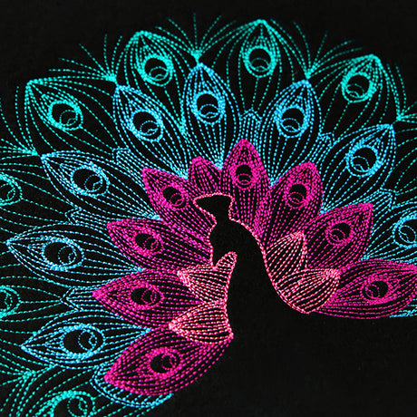 Mesmerizing Peacock