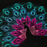 Mesmerizing Peacock