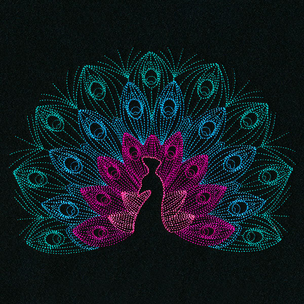Mesmerizing Peacock
