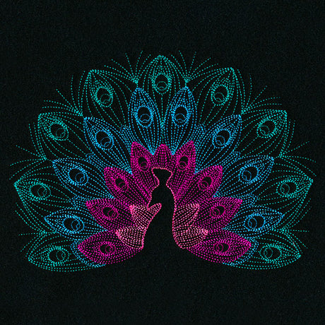 Mesmerizing Peacock