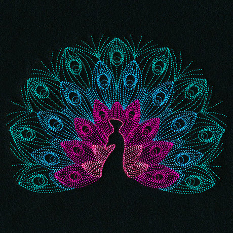 Mesmerizing Peacock