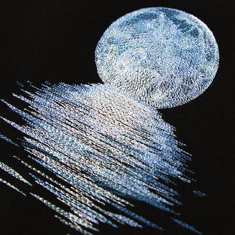 Moonlit Reflections