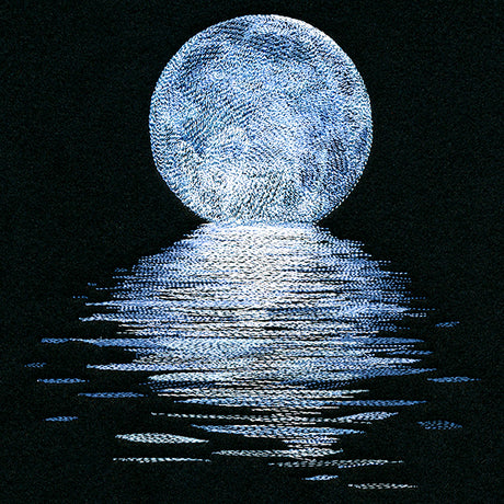 Moonlit Reflections