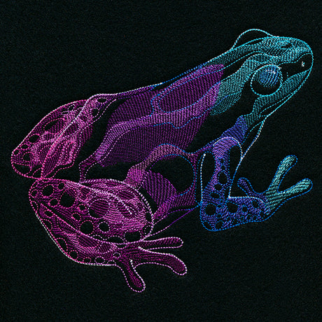 Tropical Dart Frog