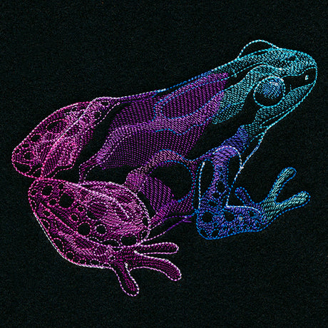 Tropical Dart Frog