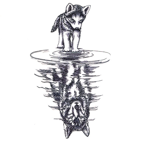 Canine Reflection