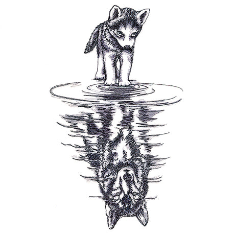 Canine Reflection