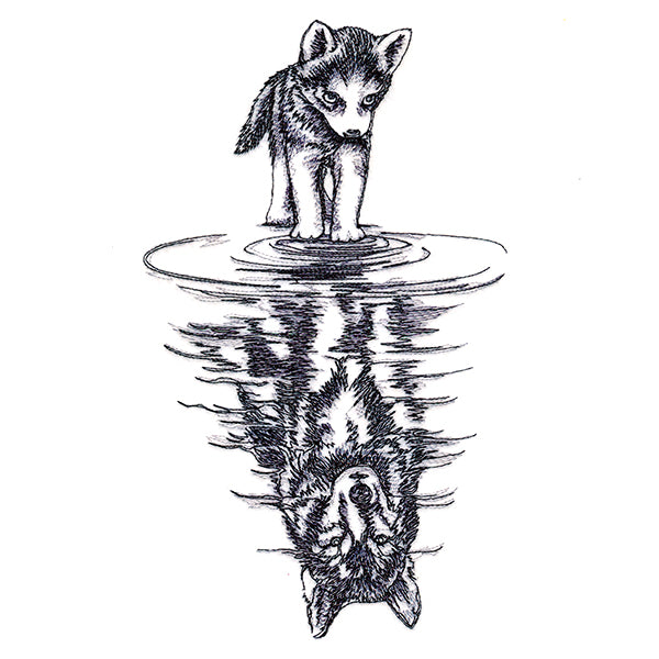 Canine Reflection