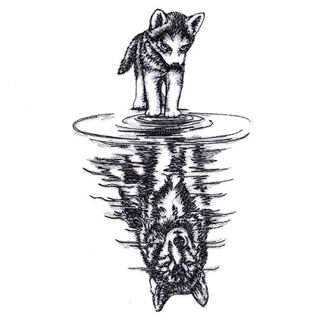 Canine Reflection