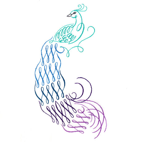 Calligraphic Peacock