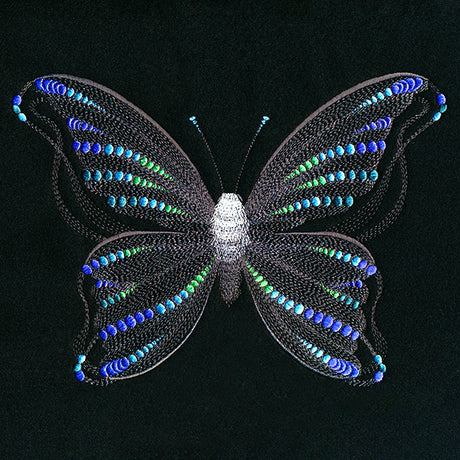 Fluttering Dreams Butterfly