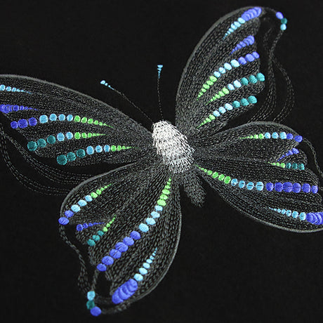 Fluttering Dreams Butterfly