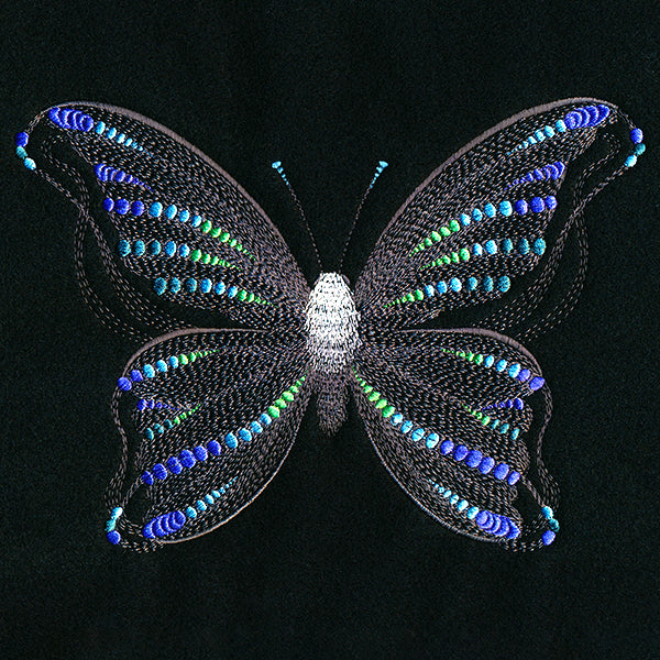 Fluttering Dreams Butterfly