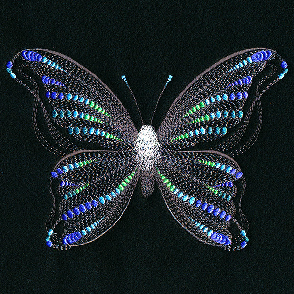 Fluttering Dreams Butterfly