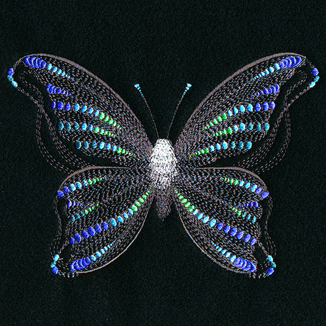 Fluttering Dreams Butterfly
