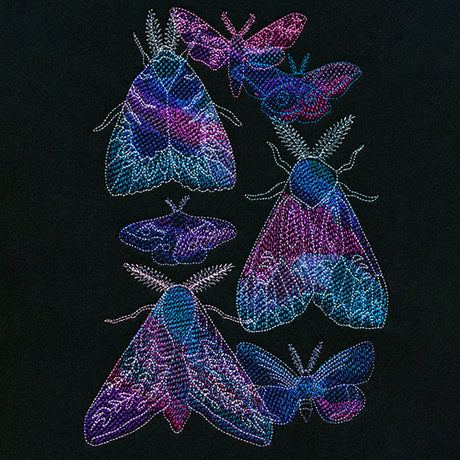 Magical Moth Collage