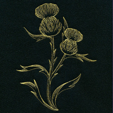 Golden Thistle