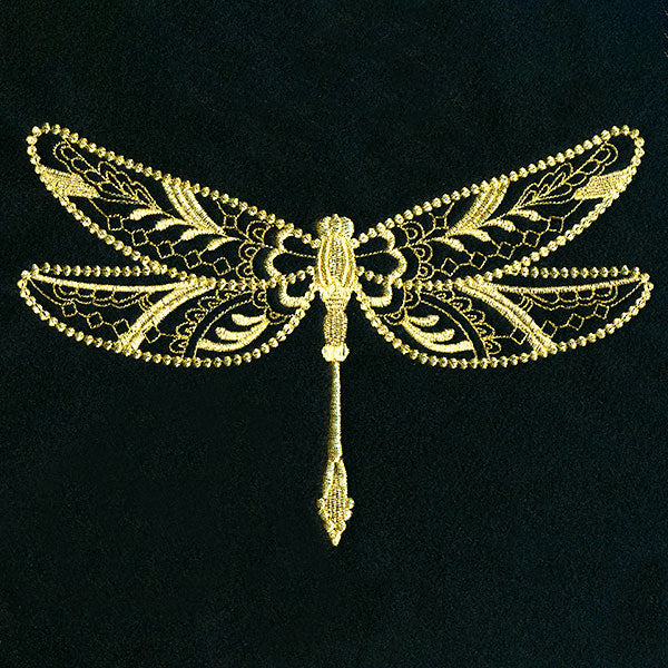 Marvelous Dragonfly