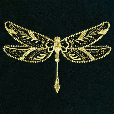 Marvelous Dragonfly