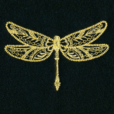 Marvelous Dragonfly