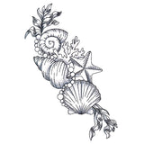 Seashell Treasures