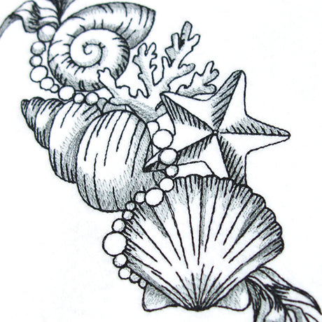 Seashell Treasures