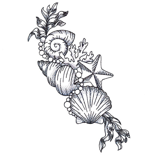 Seashell Treasures