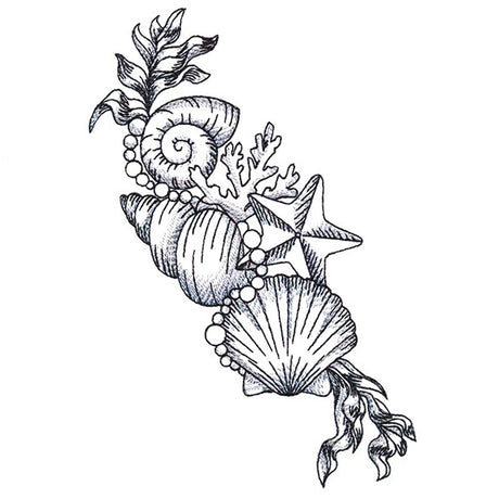 Seashell Treasures