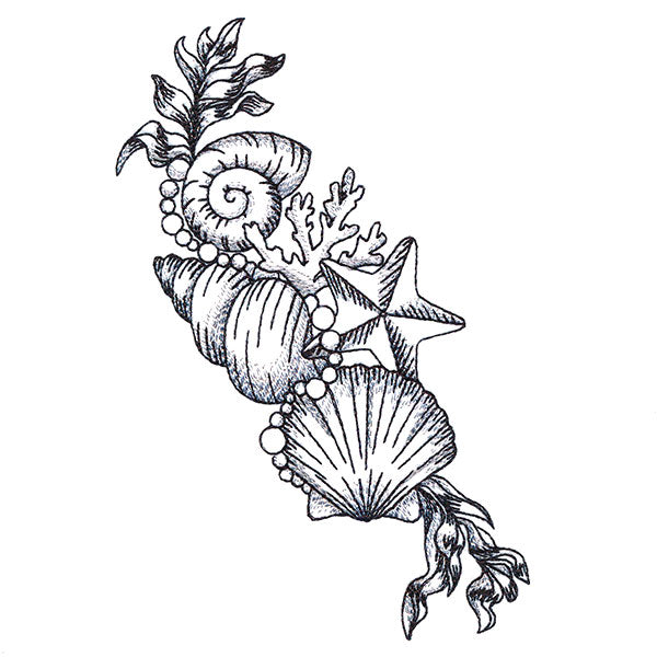 Seashell Treasures