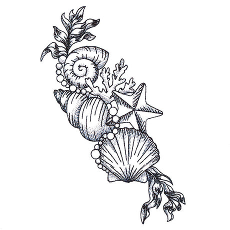 Seashell Treasures