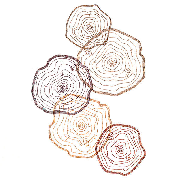 Tree Rings Collage