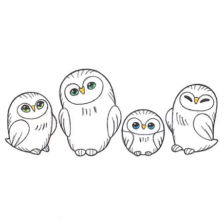 Charming Owl Border