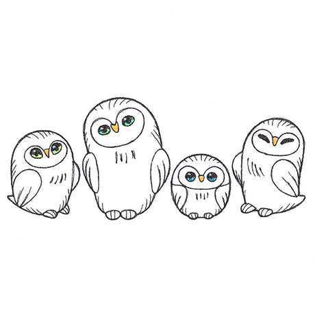 Charming Owl Border