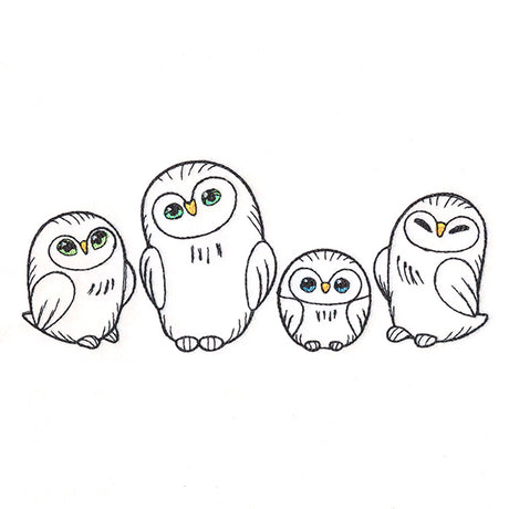 Charming Owl Border