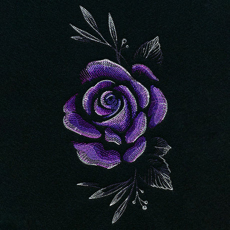 Alluring Midnight Rose