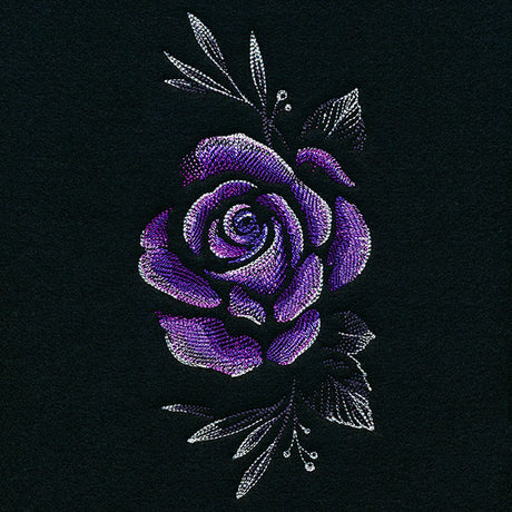 Alluring Midnight Rose