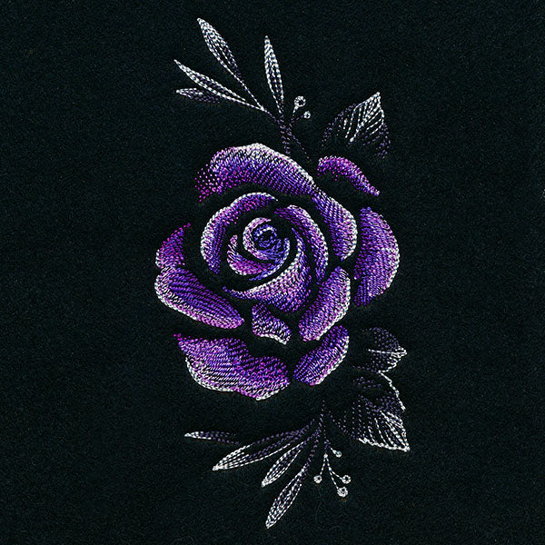 Alluring Midnight Rose