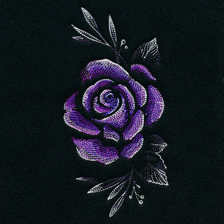 Alluring Midnight Rose